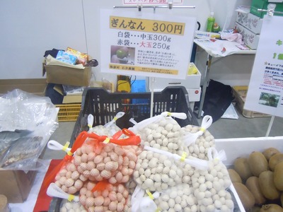 2010umasagishiri_10.jpg