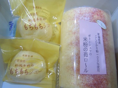 2010umasagishiri_9.jpg