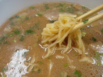 cup_wakayama_4.jpg