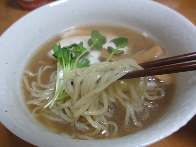 haruyokoi_201504_6.jpg