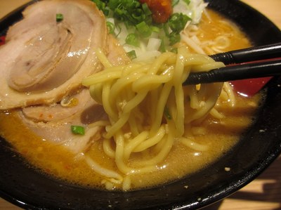 makoto_201504_5.jpg