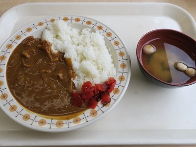 niigatashiyakusyo_honkan_201603_5.jpg