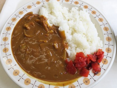niigatashiyakusyo_honkan_201603_6.jpg