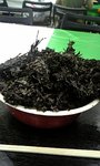 nishinagaoka.jpg