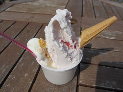 natural_gelate_5.jpg