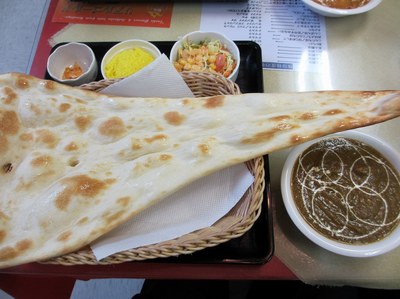 palpatei_4.jpg