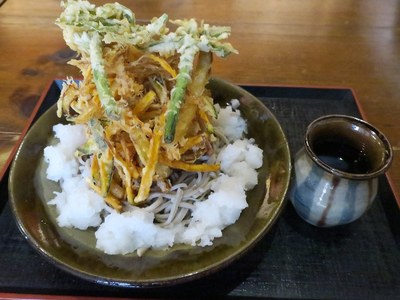 shioya_tachibana_4.jpg