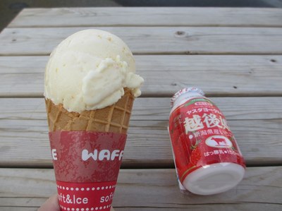 yasuda_yogurt_4.jpg