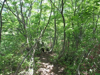 arakawakenryukyo_10.jpg