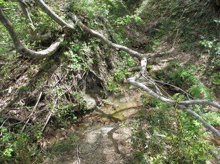 arakawakenryukyo_11.jpg
