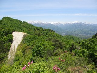 arakawakenryukyo_17.jpg