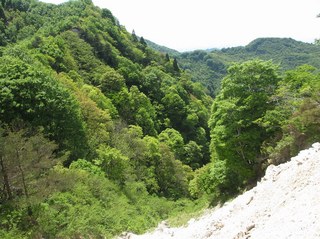 arakawakenryukyo_20.jpg