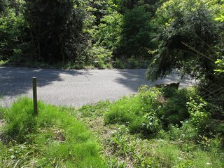 arakawakenryukyo_33.jpg