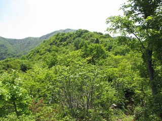 arakawakenryukyo_7.jpg