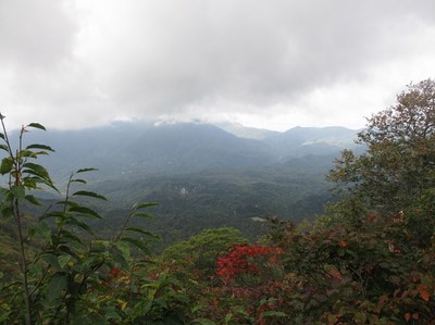 asakusadake_53.jpg