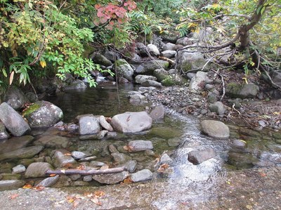 asakusadake_8.jpg
