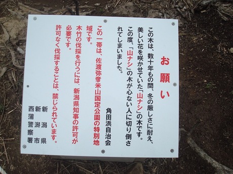 kakuda_toudai_10.jpg